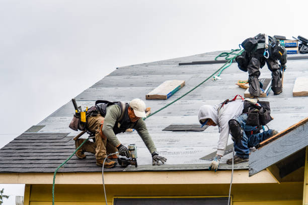 Professional Storm Damage Roof Repair technician working in Sigourney, IA